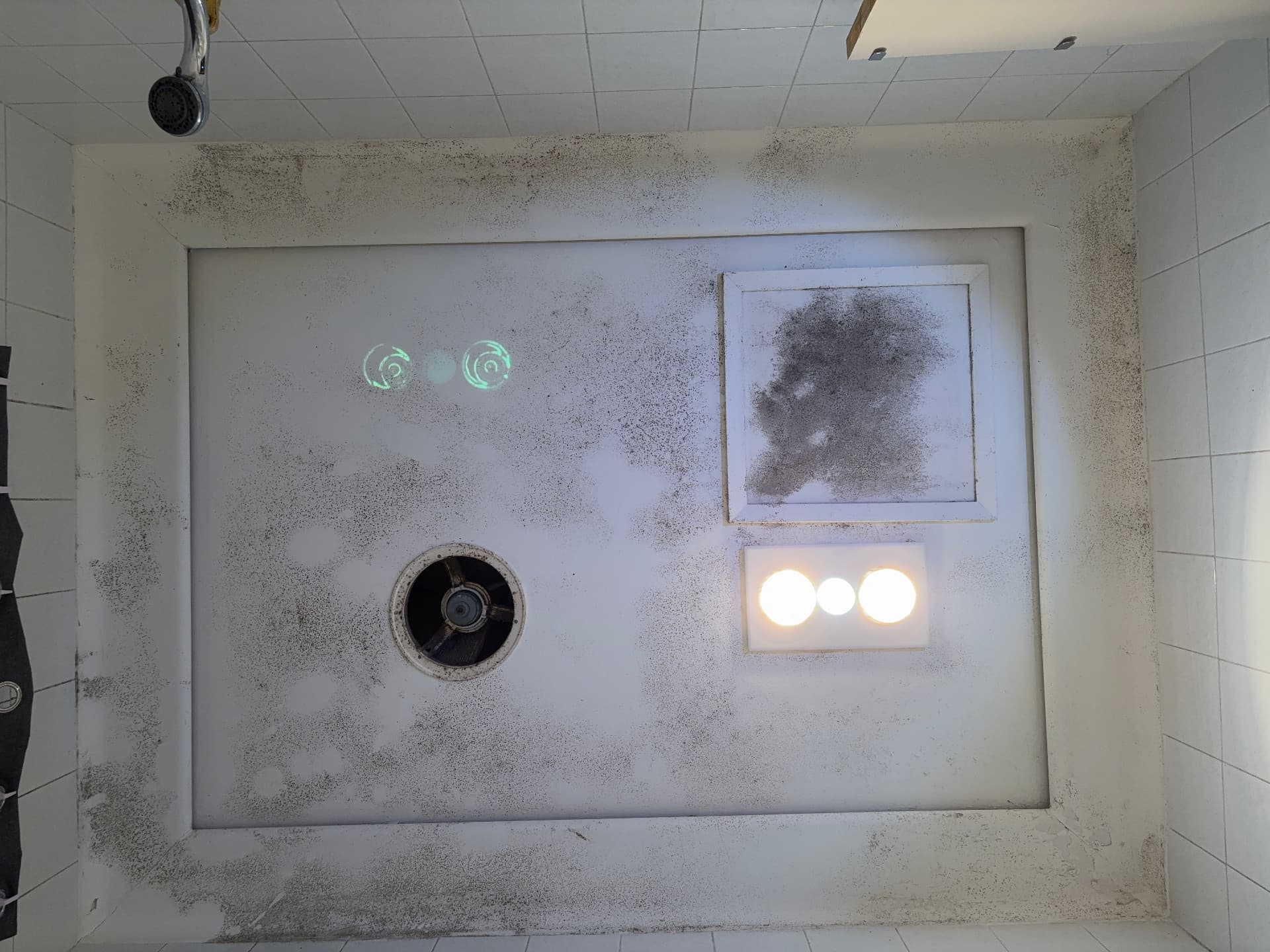 Bathroom ceiling with black mould before mould removal